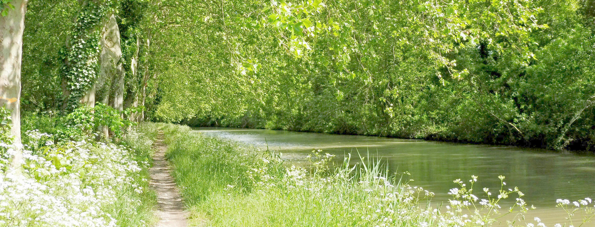 Véro d'Occitanie